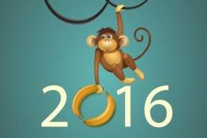 2016 год SEO хронология